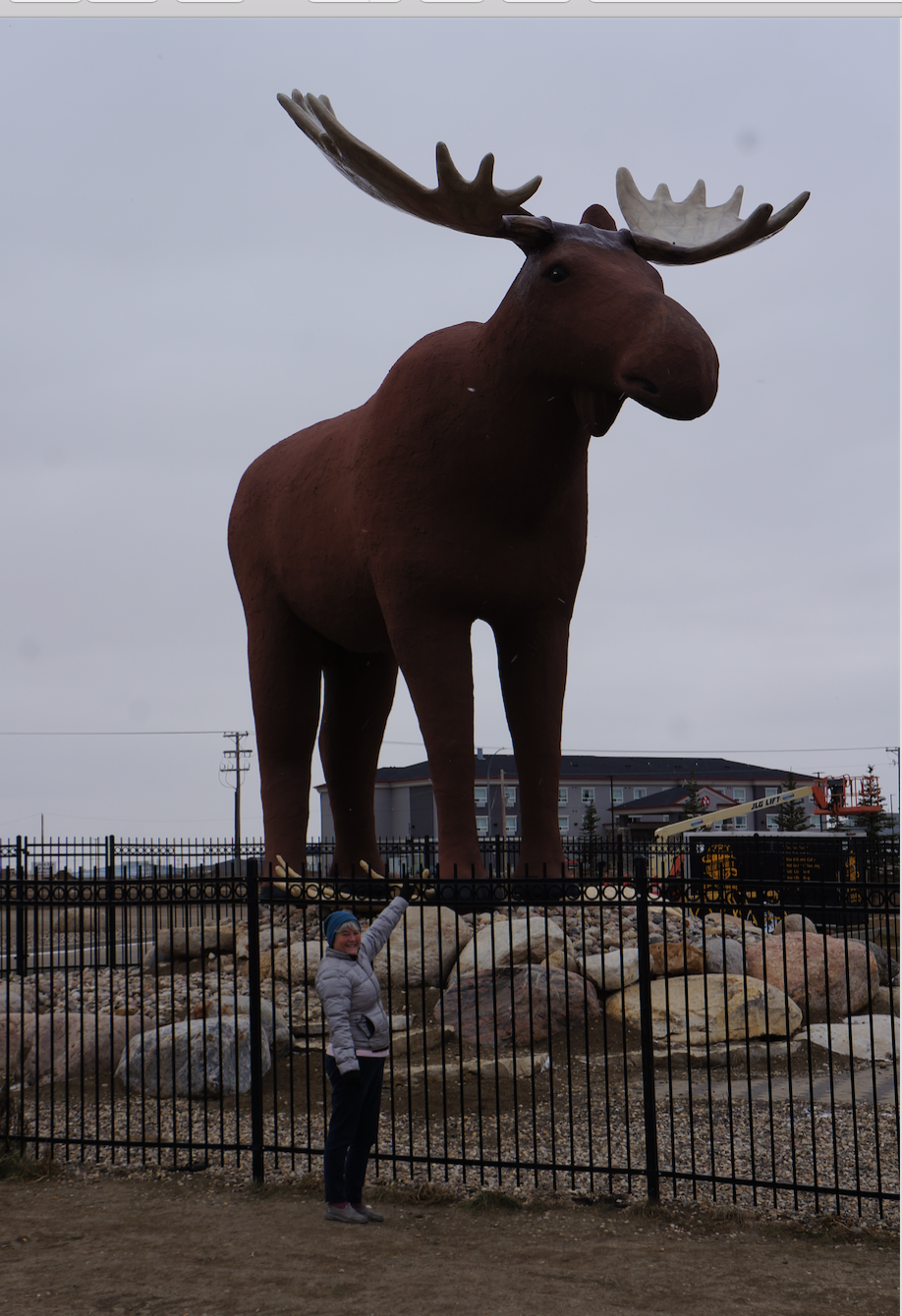 Mac has a new Rack!! – Quilting in a Kayak